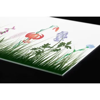 Obklad DIMEX | Plexisklo za kuchyňskou linku PGT-08060-182 | 80 x 60 cm | Luční design + Plexisklo za kuchyňskou linku DIMEX v rozměru 80 x 60 cm, motiv Luční design