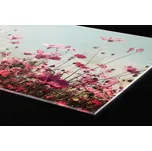 DIMEX | Plexisklo za kuchyňskou linku PGT-24060-126 | 240 x 60 cm | Jarní pole + Plexisklo za kuchyňskou linku DIMEX v rozměru 240 x 60 cm, motiv Jarní pole