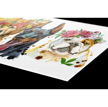 Obklad DIMEX | Plexisklo za kuchyňskou linku PGT-24060-110 | 240 x 60 cm | Portét psů + Plexisklo za kuchyňskou linku DIMEX v rozměru 240 x 60 cm, motiv Portét psů