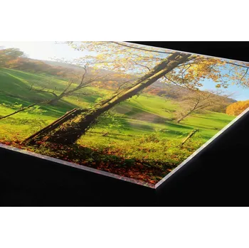 Obklad DIMEX | Plexisklo za kuchyňskou linku PGT-06040-083 | 60 cm x 40 cm | Louka + Plexisklo za kuchyňskou linku DIMEX v rozměru 60 cm x 40 cm, motiv Louka