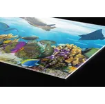 DIMEX | Plexisklo za kuchyňskou linku PGT-24060-092 | 240 x 60 cm | Ryby v oceánu + Plexisklo za kuchyňskou linku DIMEX v rozměru 240 x 60 cm, motiv Ryby v oceánu