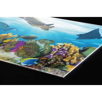 Obklad DIMEX | Plexisklo za kuchyňskou linku PGT-24060-092 | 240 x 60 cm | Ryby v oceánu + Plexisklo za kuchyňskou linku DIMEX v rozměru 240 x 60 cm, motiv Ryby v oceánu