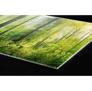Obklad DIMEX | Plexisklo za kuchyňskou linku PGT-24060-133 | 240 x 60 cm | Svěží les + Plexisklo za kuchyňskou linku DIMEX v rozměru 240 x 60 cm, motiv Svěží les