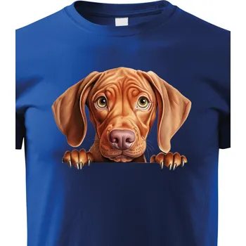 Chlapecké tričko Dětské tričko Maďarský ohař, Barva Modrá, Velikost 146 cm/10 roků, Canvas Dětské tričko Bezvatriko.cz 2229