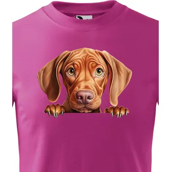 Dětské tričko Maďarský ohař, Barva Purpurová, Velikost 110 cm/4 roky, Canvas Dětské tričko Bezvatriko.cz 2229