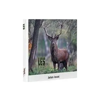 Pastelka Leporelo 8x9 cm - V lese