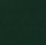 Egibi Čalouněný panel nástěnný Hexagon 6x15cm Barva: Tmavě zelená Riwiera 38