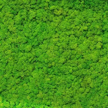 Tapeta MARBURG 34862 0,53 x 10,05 m