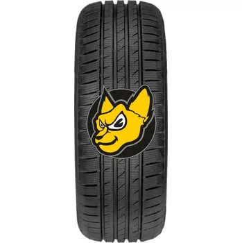 Zimní osobní pneu Fortuna Gowin UHP 195/55 R16 91V XL