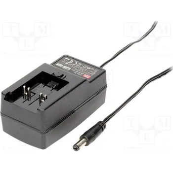 MEAN WELL GE24I48-P1J