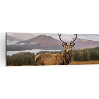 Obraz Velký obraz do obýváku 160x50 zvířata moderní na plátně obrazy