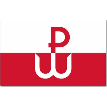 Samolepicí dekorace na vozidlo NÁLEPKA Grafika na auto Barva: VLAJKA POLSKÝ Polsko Bojující 13x8