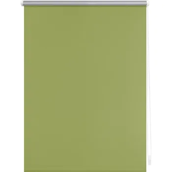 Roleta Lichtblick Termo zatemňovací roleta, od 45 x 150 cm (zelená, 70 x 150 cm)