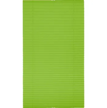 Roleta Lichtblick Plisovaná roleta, od 45 x 130 cm (zelená, 70 x 210 cm)