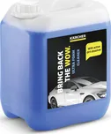 Kärcher RM 527 Pěnový čistič, 5l