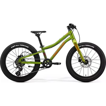 Dětské kolo MERIDA MATTS J. 20+ Fall Green(Red/Black) UNI