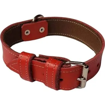 Obojek pro psa Palkar Obojek z kůže hlazenice pro psy 50 cm × 30 mm červený