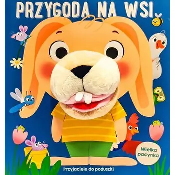 Pohádka Przyjaciele do poduszki. Przygoda na wsi... - praca zbiorowa