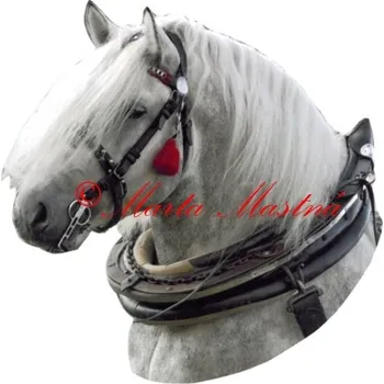 Samolepka chladnokrevník, kůň, koně 397