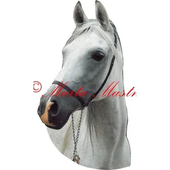 Samolepka shagya arab, kůň, koně 203