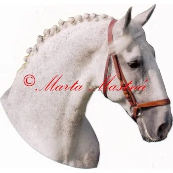 Samolepka kladrubský bělouš pstružák, kůň, koně