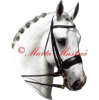 Samolepka holštýnský kůň, koně 581