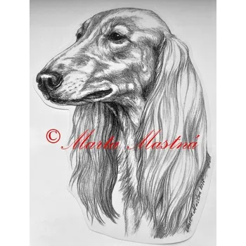 Samolepka saluki, saluka, perský chrt c529 - Malá - přibližně jako pohlednice