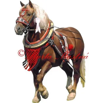 Samolepka chladnokrevník Aron, kůň, koně 229