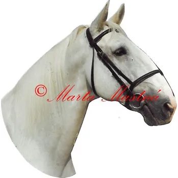 Samolepka kladrubský bělouš, kůň, koně 218