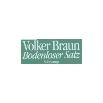 Bodenloser Satz - Braun, Volker