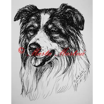 Samolepka border kolie - archiv c11 - Malá - přibližně jako pohlednice