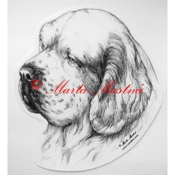 Samolepka clumberšpaněl c345 - Malá - přibližně jako pohlednice