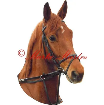 Samolepka kůň teplokrevník, koně - archiv 178