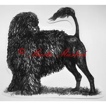 Samolepka portugalský vodní španěl c408 - Malá - přibližně jako pohlednice