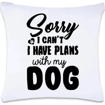 Dekorativní polštářek DOBRÝ TRIKO Polštář s potiskem 40 x 40 cm Sorry plans with dog Oboustranný tisk: NE