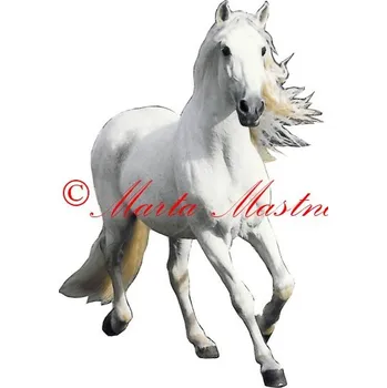 Samolepka andaluský kůň, pura raza, koně 409