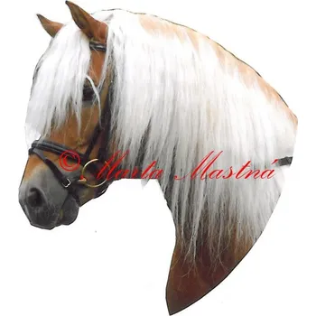 Samolepka hafling, kůň, koně - archiv 498