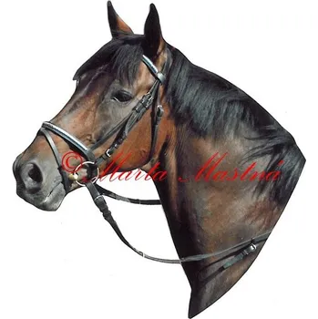 Samolepka kůň teplokrevník, koně - archiv 230