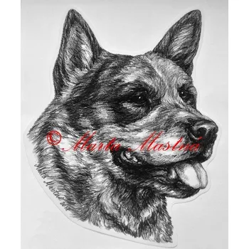 Samolepka australský honácký pes - archiv c525 - Malá - přibližně jako pohlednice