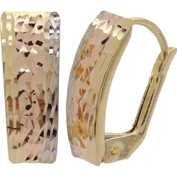 Náušnice Zlaté náušnice CTK141/42 (585/1000) 1.45 g