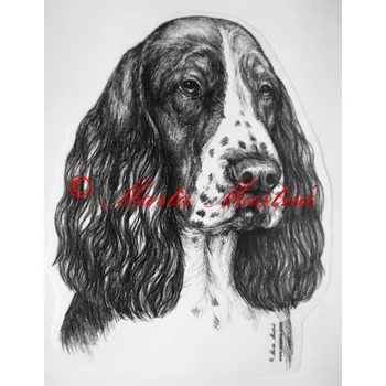 Samolepka špringršpaněl c346 - Malá - přibližně jako pohlednice