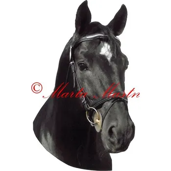 Samolepka kůň teplokrevník, koně 561