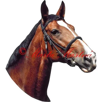 Samolepka kůň teplokrevník, koně 395