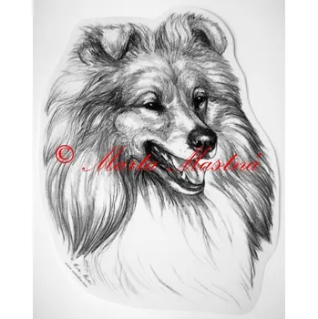 Samolepka šeltie c18 - Malá - přibližně jako pohlednice