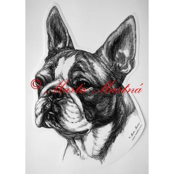 Samolepka bostonský teriér c198 - Malá - přibližně jako pohlednice