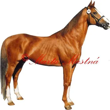 Samolepka anglický plnokrevník, kůň, koně 395