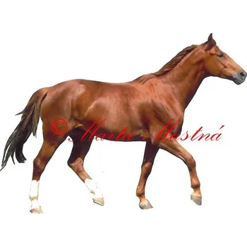 Samolepka kůň teplokrevník, koně 20