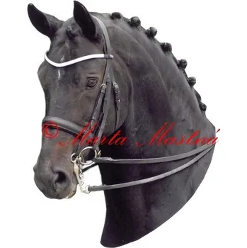 Samolepka drezura, kůň, koně, teplokrevník 80