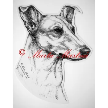 Samolepka kolie krátkosrstá c17 - Malá - přibližně jako pohlednice