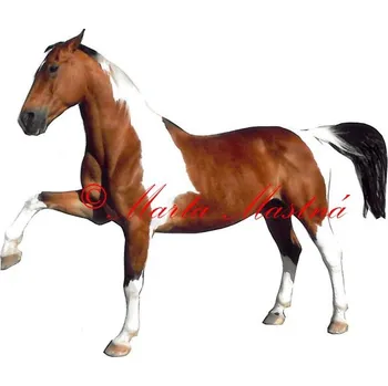Samolepka kůň, teplokrevník West - archiv 657